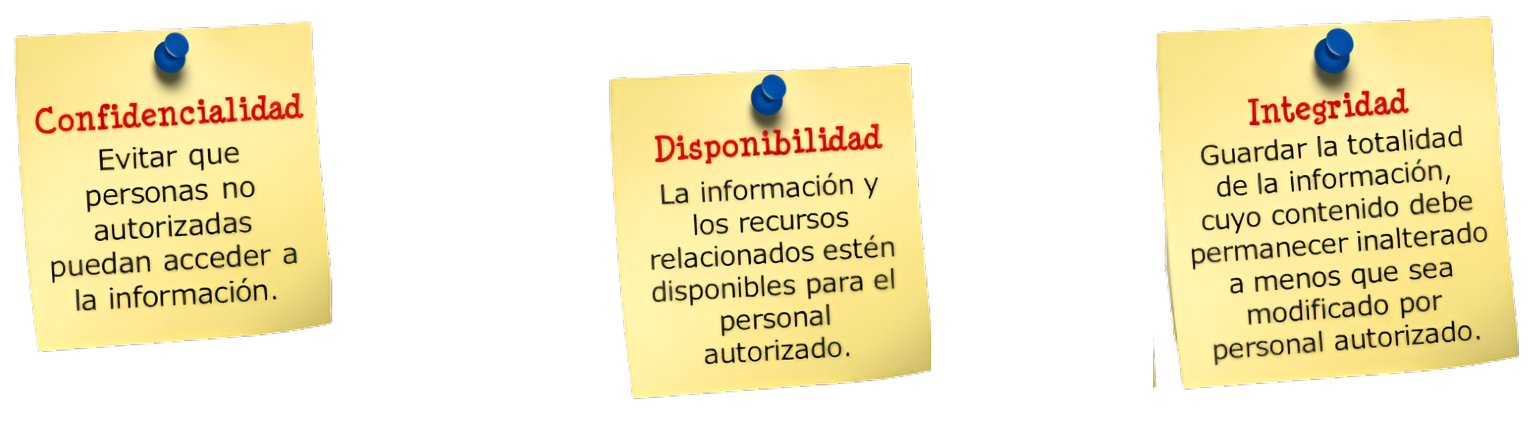 Imagen de introducción